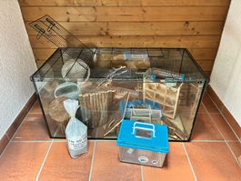 Terrarium Hamster inklusive Inhalte