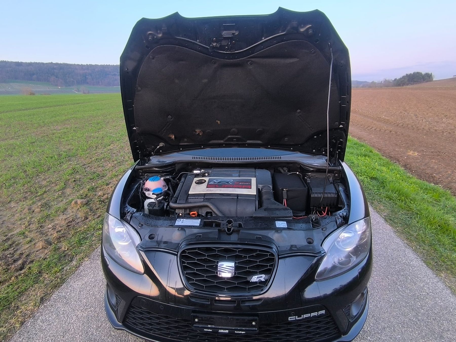 Seat Automobili: Seat Leon Cupra R – Usato da Kefikon TG venduto da Fabio295 5