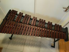 Xylophon Studio 49