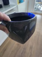 Blumentöpfe für Innenbereich