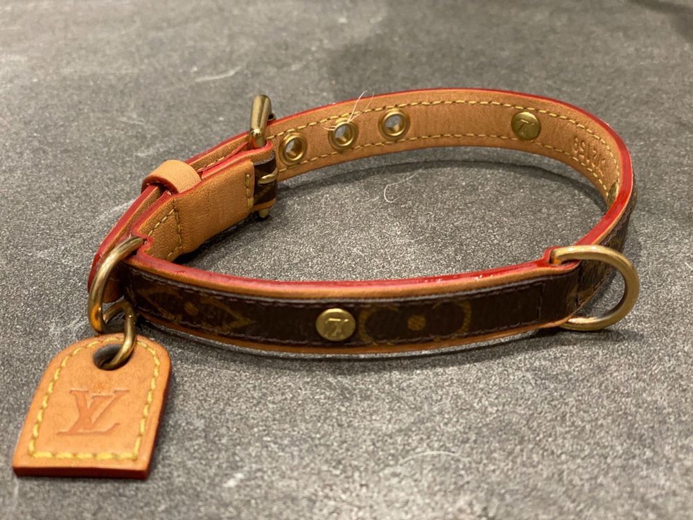 Louis vuitton Hunde Halsband in 1190 Wien für 180,00 € zum Verkauf