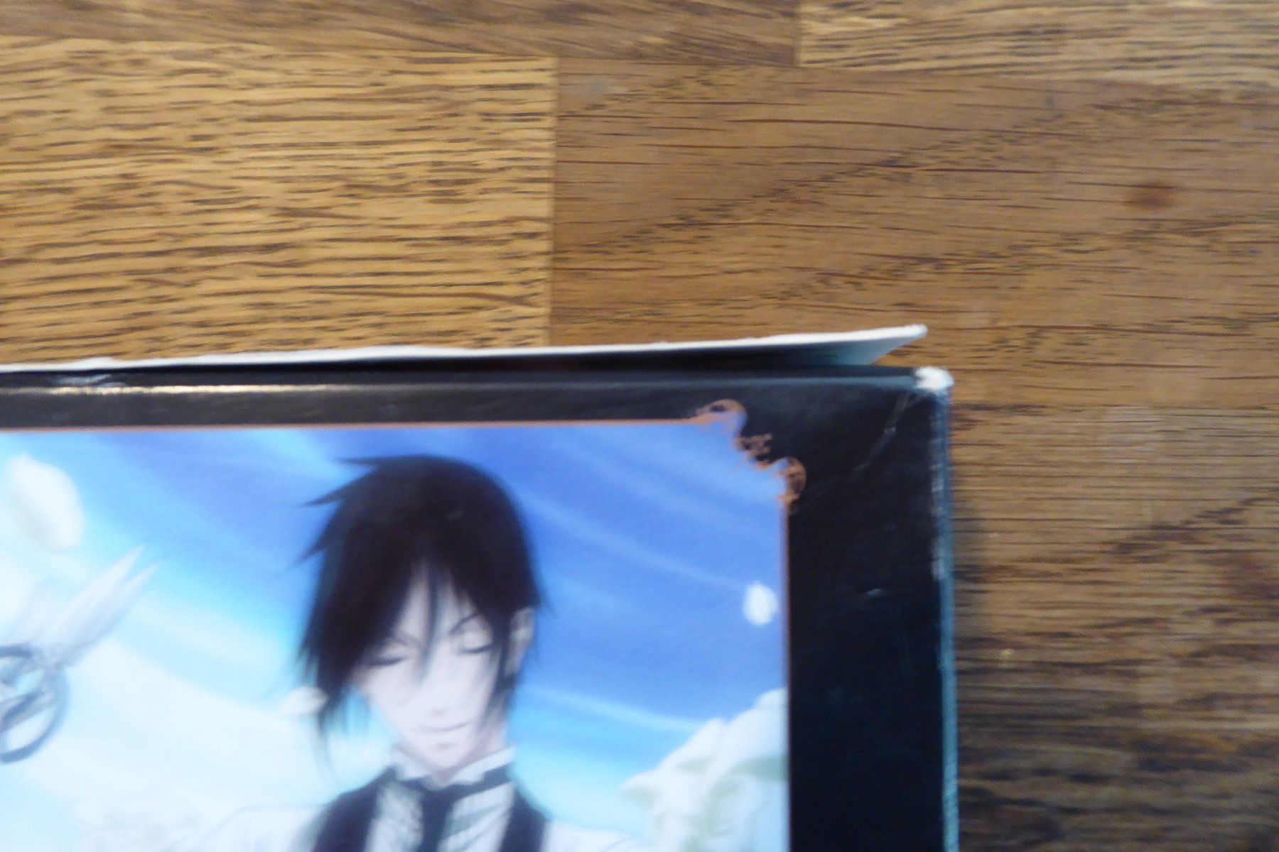 Tutti i DVDs: DVD Black Butler 1 – Usato da Allschwil venduto da Summelsarium 5