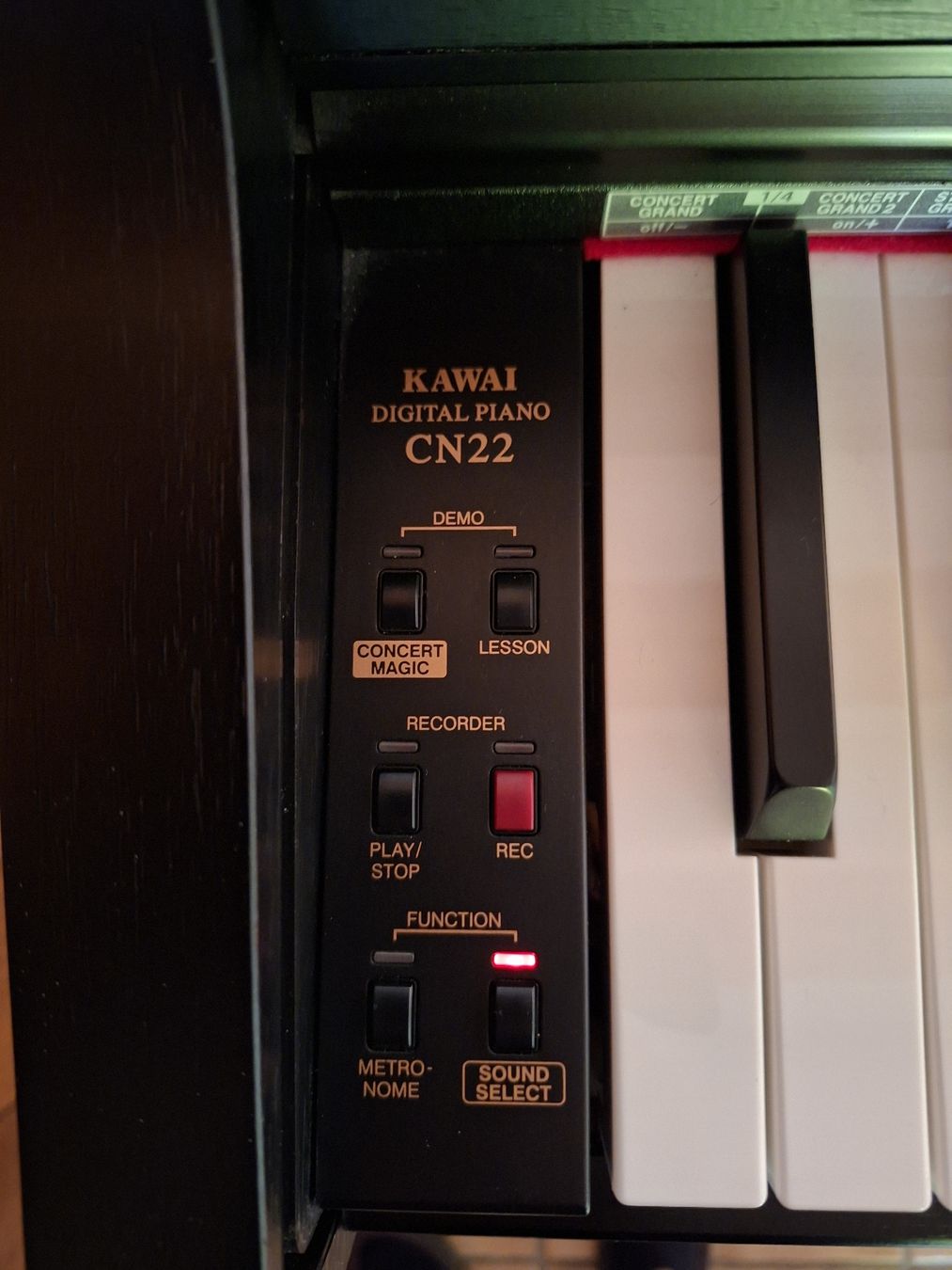 Kawai Strumenti musicali: KAWAI E - Piano Digital – Usato da Biberist venduto da Hope40 4
