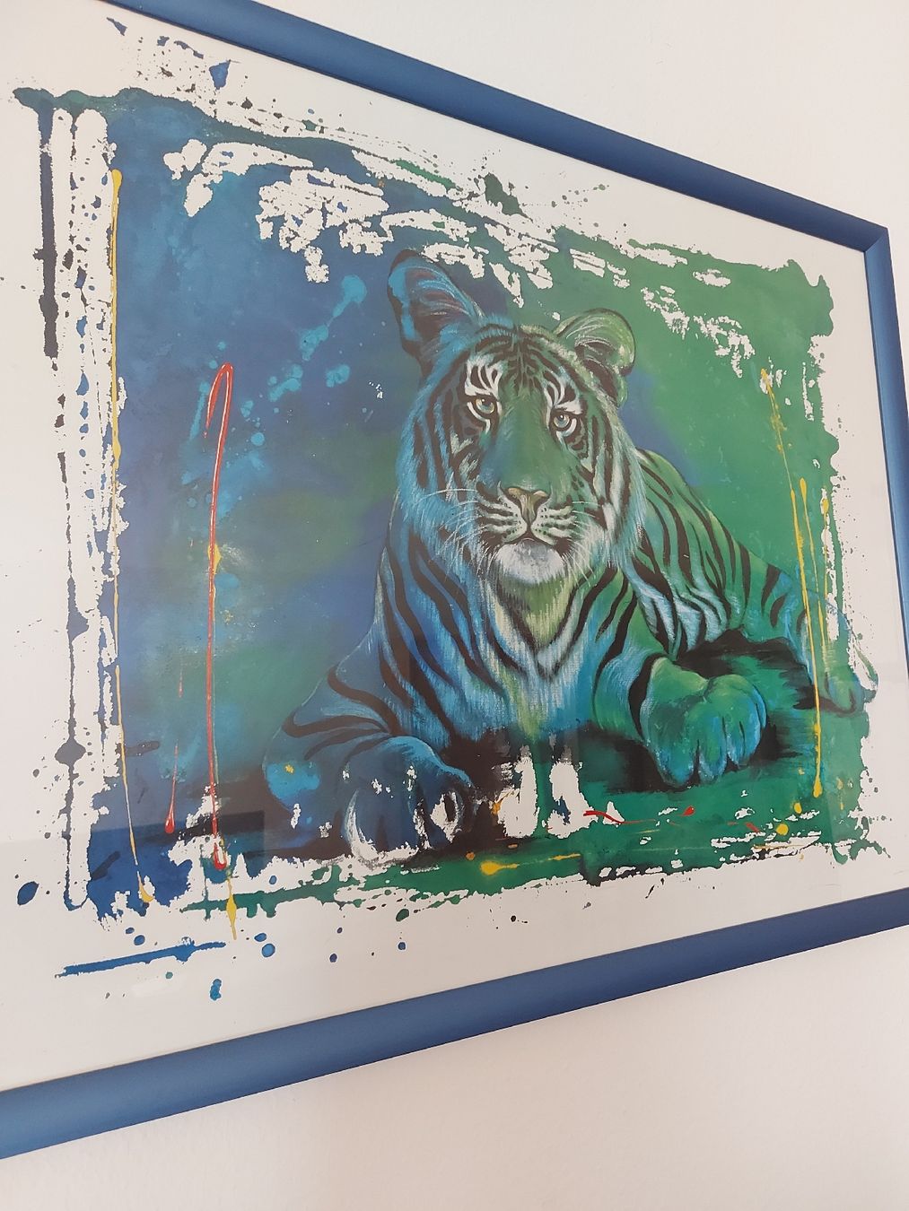 Foto & Immagini: schönes Tigerbild – Usato da Mönchaltorf venduto da Chriga80 3