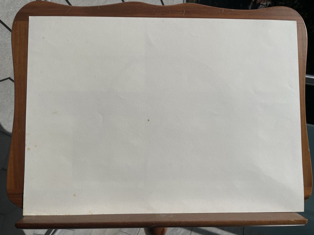 Arts picturaux & lithographies: Peter Caspary Probedruck Fenel? – D'occasion à Biel/Bienne par Galaq 3