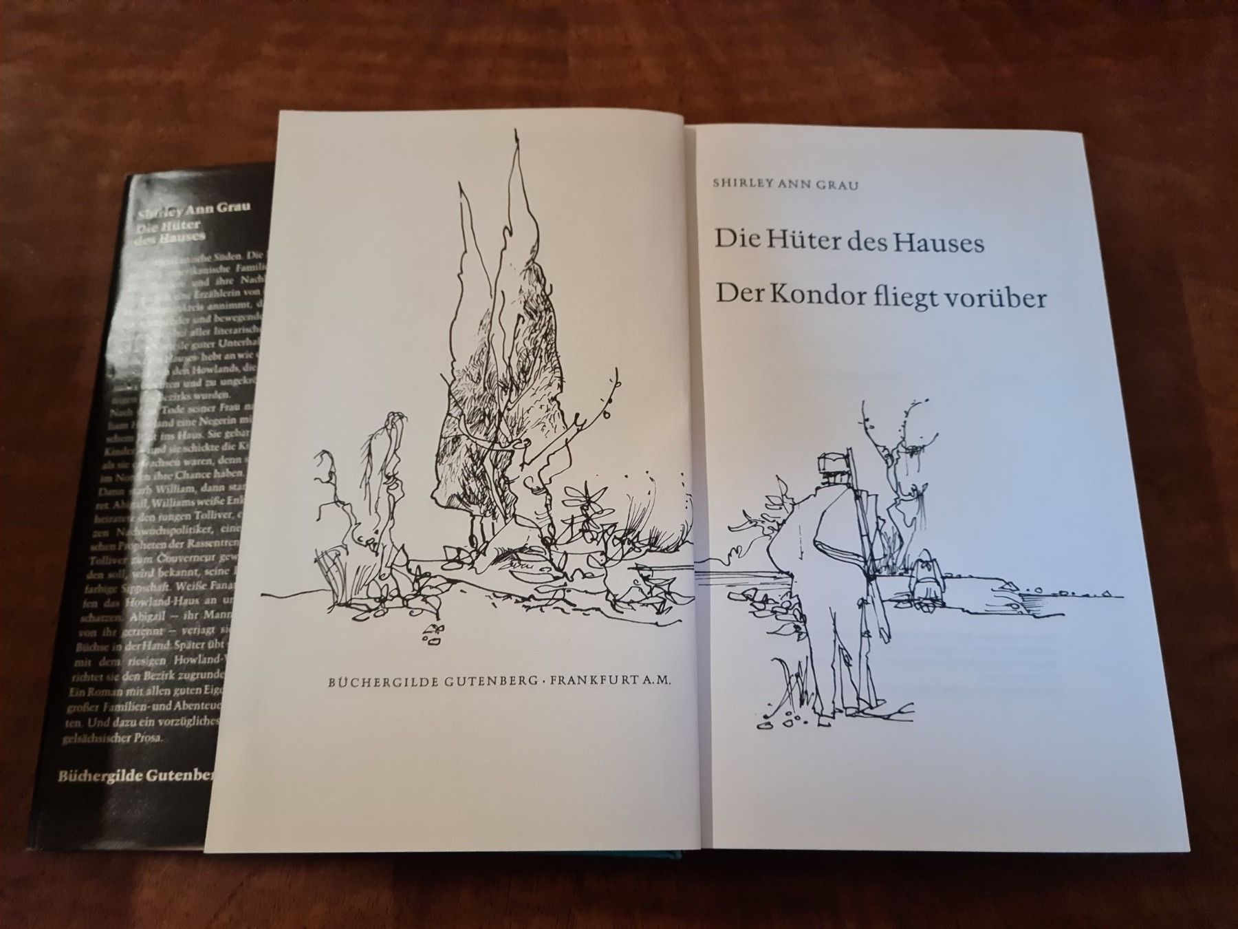 Libri: Die Hüter des Hauses – Usato da Erstfeld venduto da Mario_boe0 1