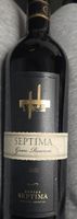 Rotwein Bodega Septima Gran Reserva 2021 neu