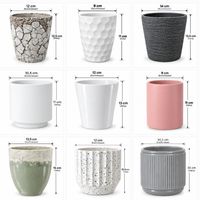Blumentopf CHF 1 pro Stück
