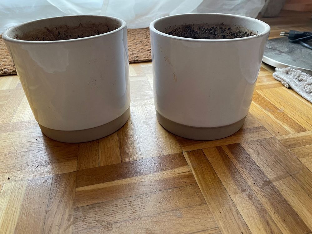 Ikea Blumentöpfe UPPVAKTA Kaufen auf Ricardo