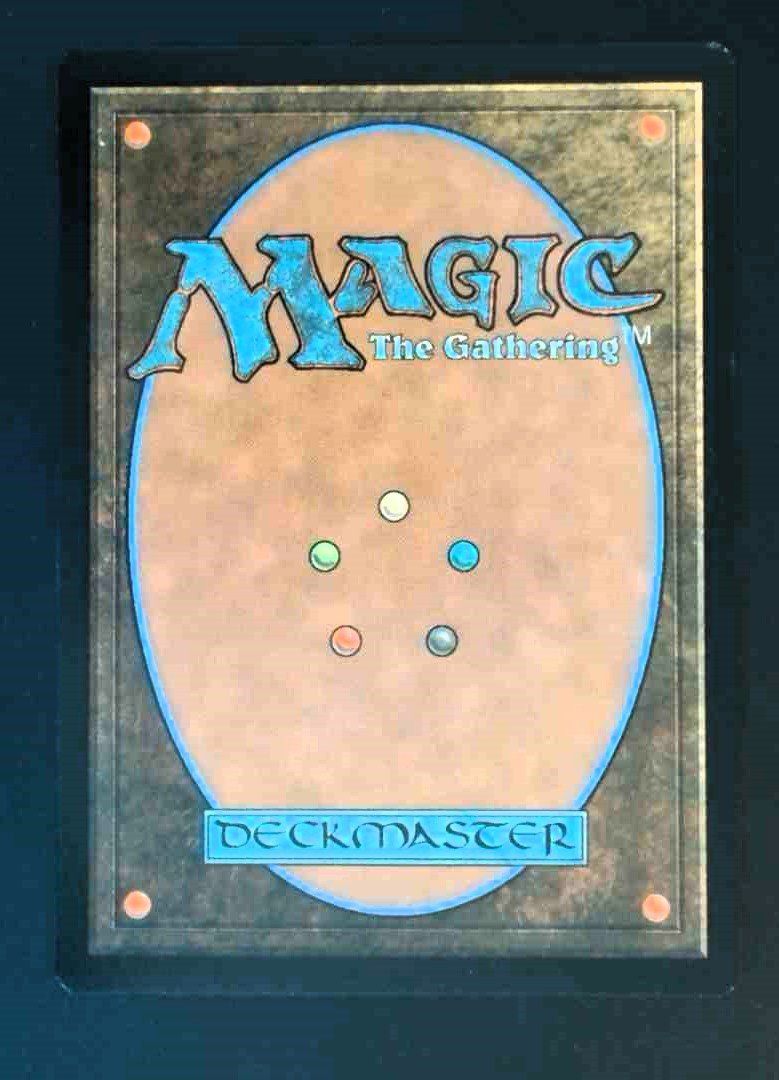 Magic The Gathering Carte collezionabili: Elvish Vanguard - Foil - MTG – Usato da Zürich venduto da Semagets 1