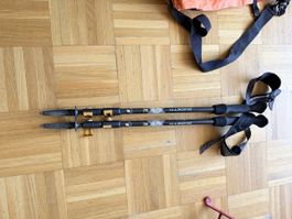 Trekking Poles Guidetti Adjustable Excellent Condition