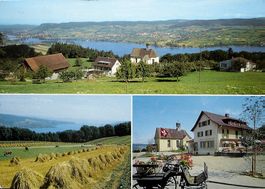 MAMMERN TG Restaurant Klingenzellerhof - Blick auf Untersee