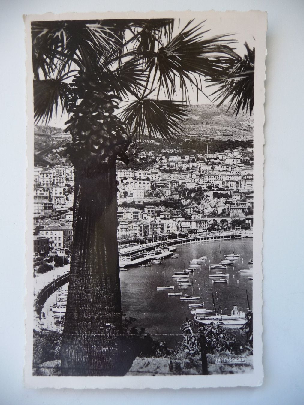 Ansichtskarten: 5 ALTE POSTKARTEN SCHWARZ.WEISS - IMPRESSIONEN VON MONACO – Gebraucht aus Aesch BL von Imoonlight 2
