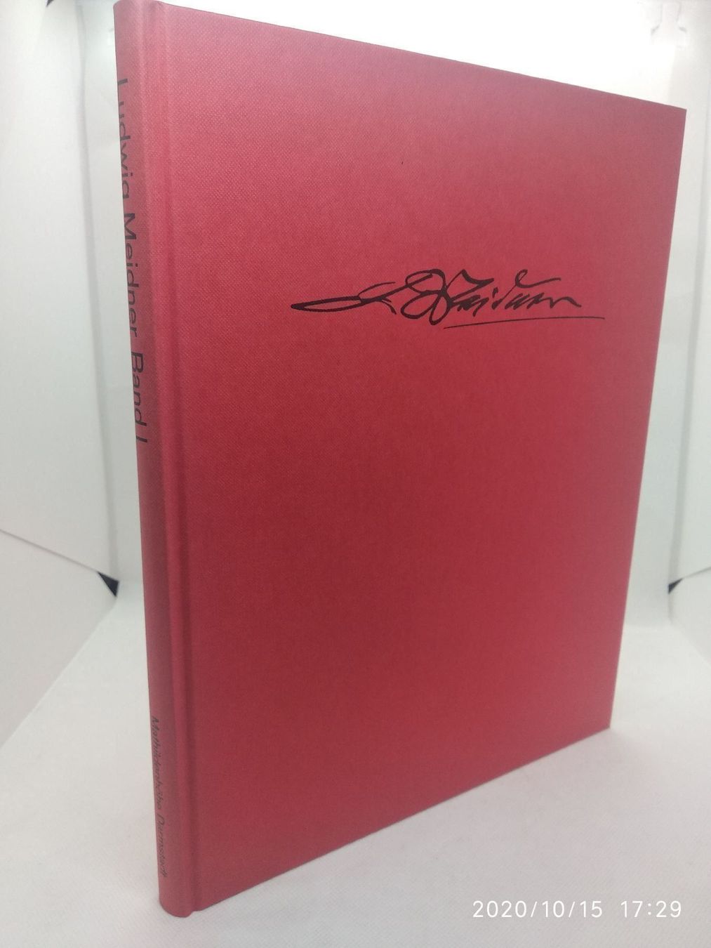 Libri: LUDWIG MEIDNER – Usato da Goldach venduto da Gaip 2