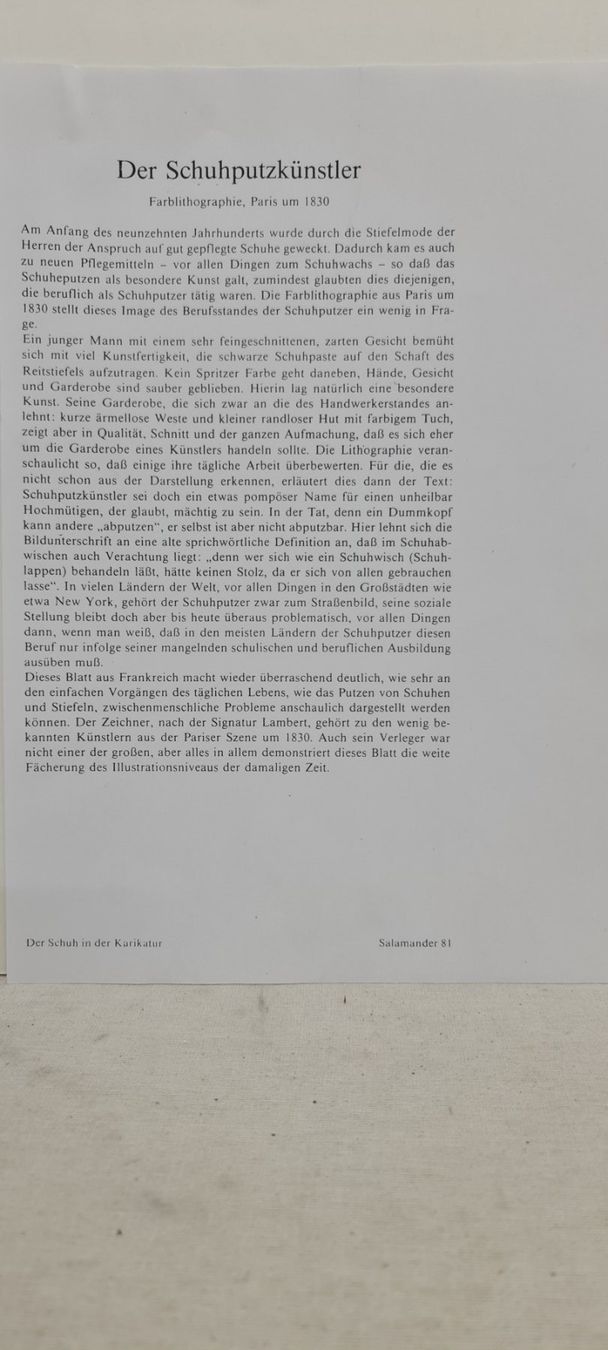 Grafiken & Lithographien: Der Schuh in der Karikatur, Lithographie – Gebraucht aus Sins von sagitarius58 3