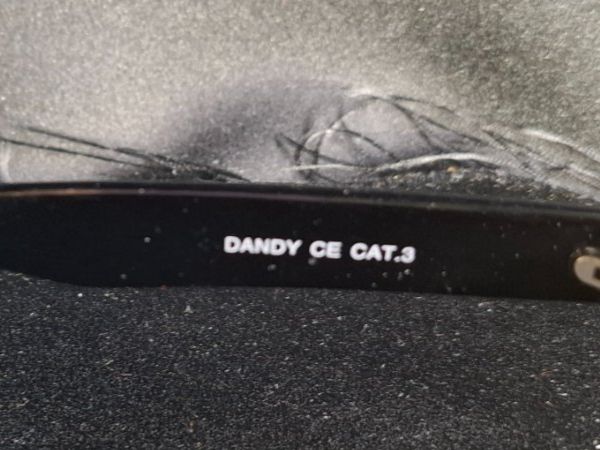 Brillen & Gläser: Sonnenbrille  Dandy     / 7 – Gebraucht aus Schlieren von Alena020_0 4