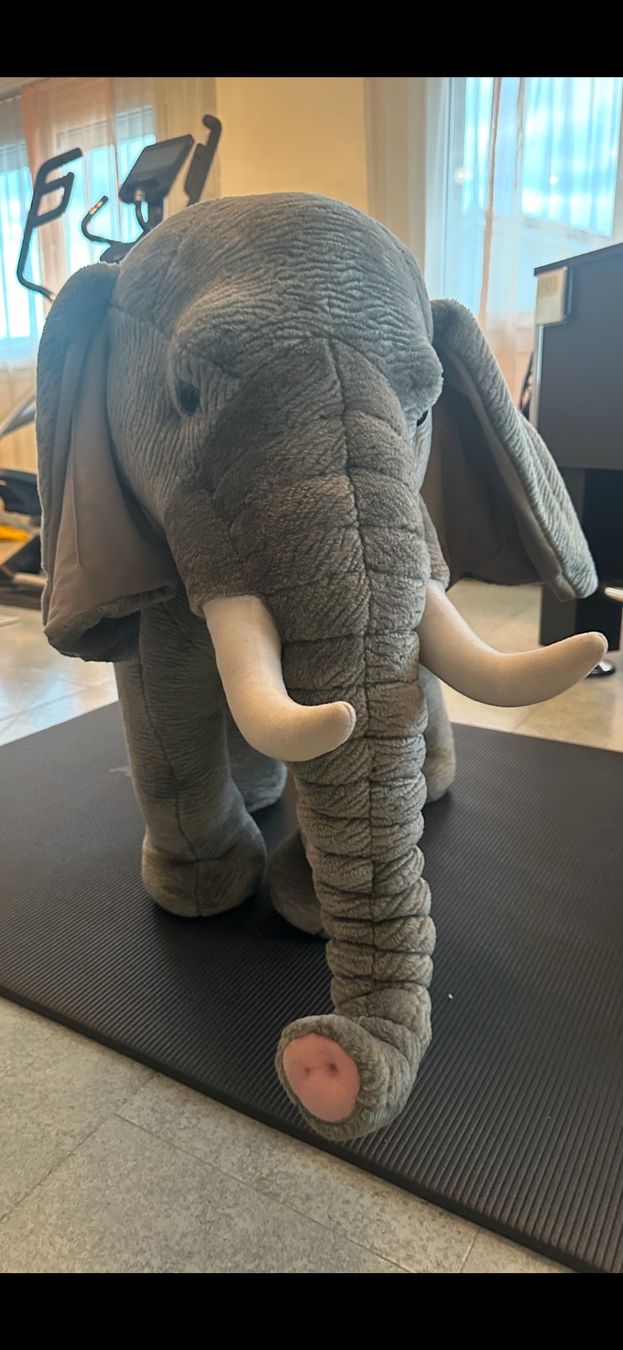 Giocattoli: Plüschtier Elefant stehend – Usato da Eich venduto da gabry68