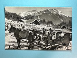 Gstaad - Pferdeschlitten
