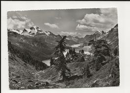AK 1955 Oberengadin mit Silvaplana und Silsersee