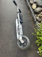 Top Zustand Scooter für Kinder und Erwachsene für Spass!