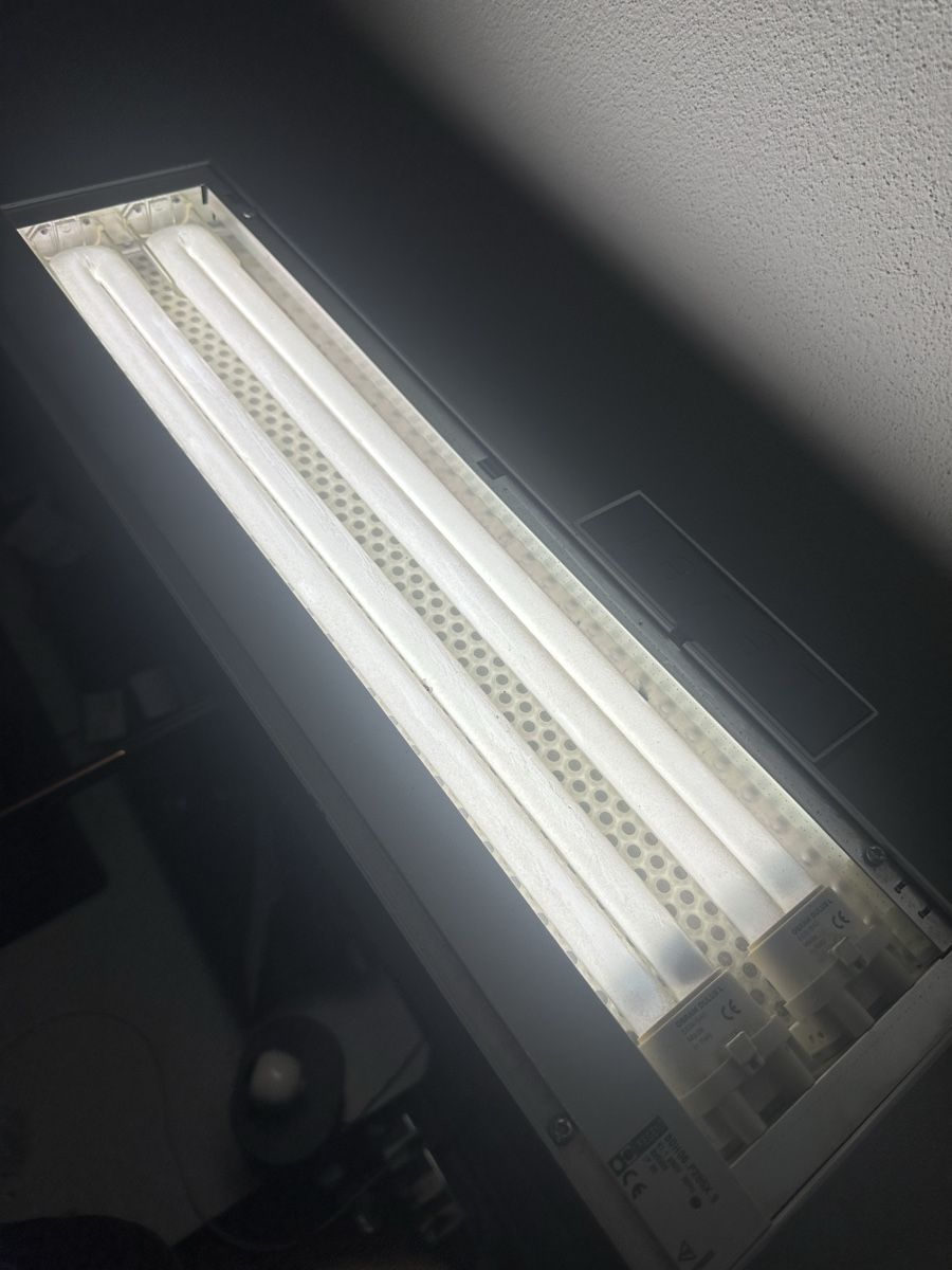 Regent Lampade: Regent LEVEL Büroleuchte – Usato da Hünenberg See venduto da misterblee 3