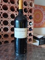 1 Mag.-Fl. 150cl. Château Montfollet GRAND VIN, Blaye, 2009