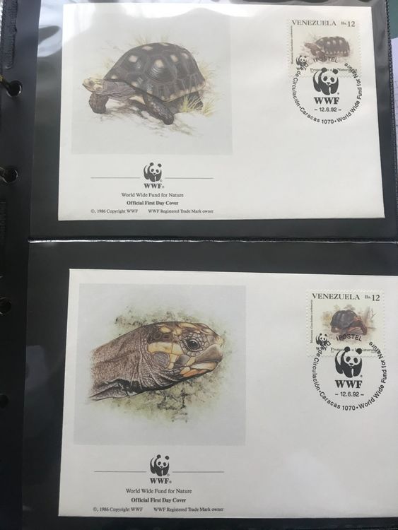 Prophila Malediven Briefmarken 2017 Schildkröten – Kleinbogen 7233-7236 Postfrisch ** MNH | Für Sammler