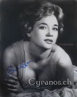 Sylvia Syms (1934-2023) Schauspielerin - Autogramm Grossfoto