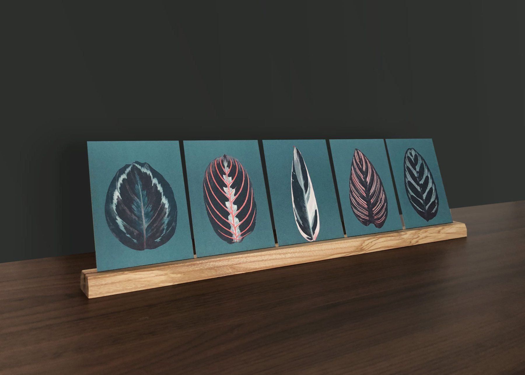Altro in Decorazioni & Accessori: Grosser Kartenhalter – Nuovo e nell'imballaggio originale da Zürich venduto da BienvenueStudios