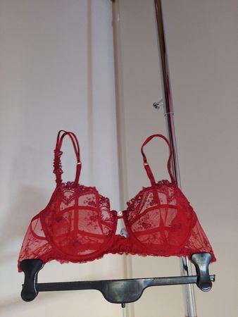 Lise Charmel roter BH, Spitze, Gr. 85 C