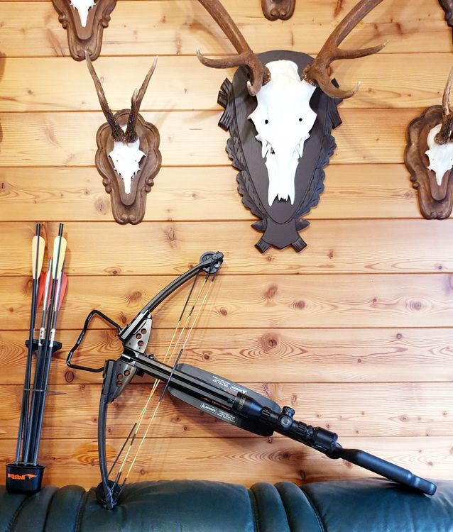 Wicked ridge Ranger / TenPoint Armbrust | Kaufen auf Ricardo
