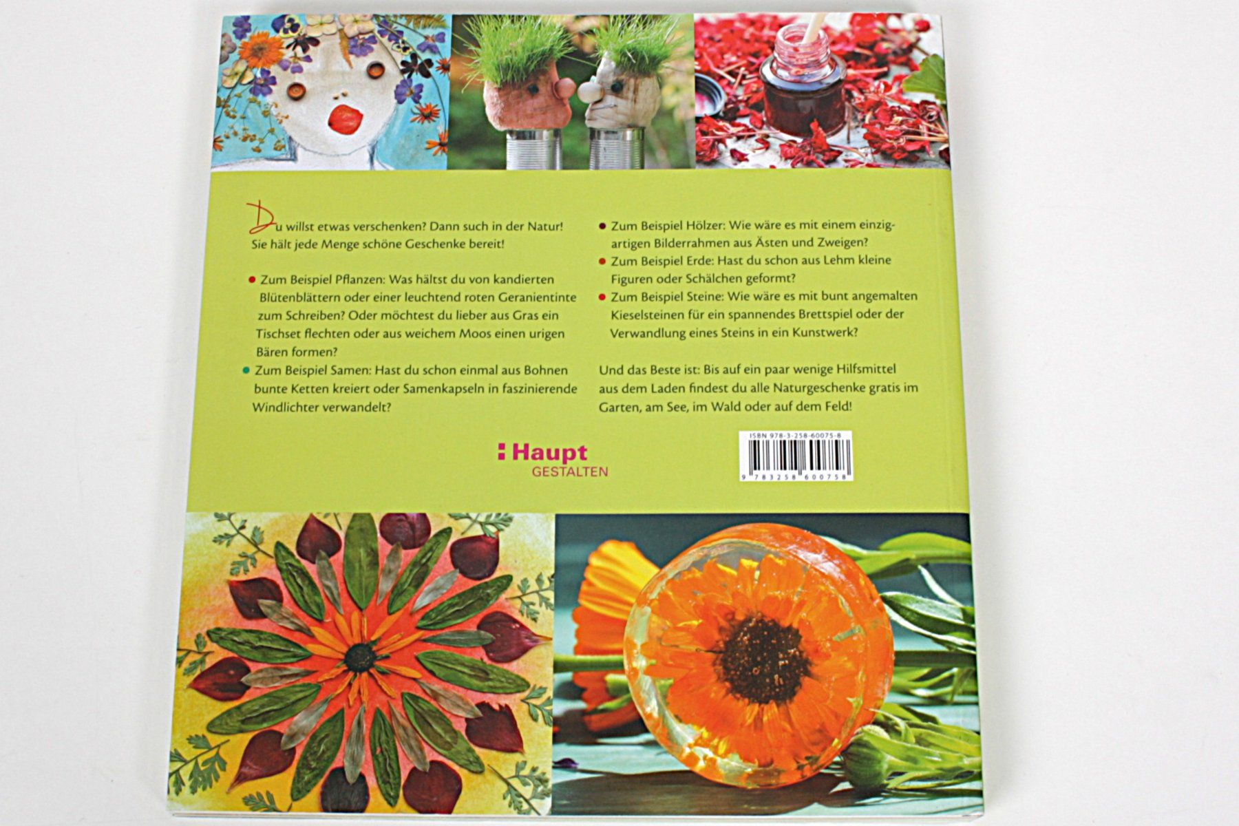 Libri: HAUPT: Naturgeschenke – Usato da Zollikofen venduto da Restwert_Zollikofen 4