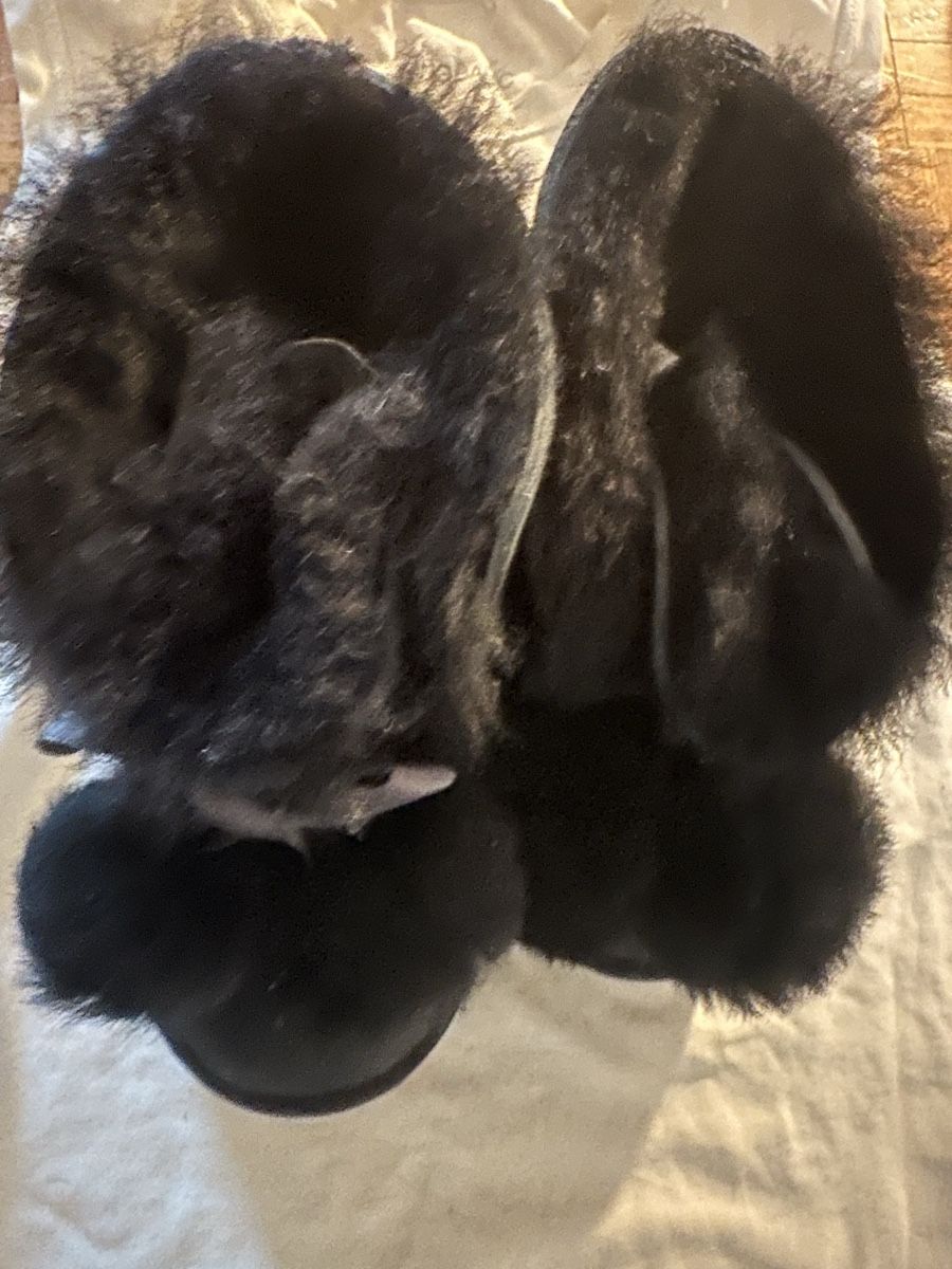 Ugg Scarpe per ragazzi: ugg kinder boots gr 26 – Usato da Uster venduto da bek_v2ct