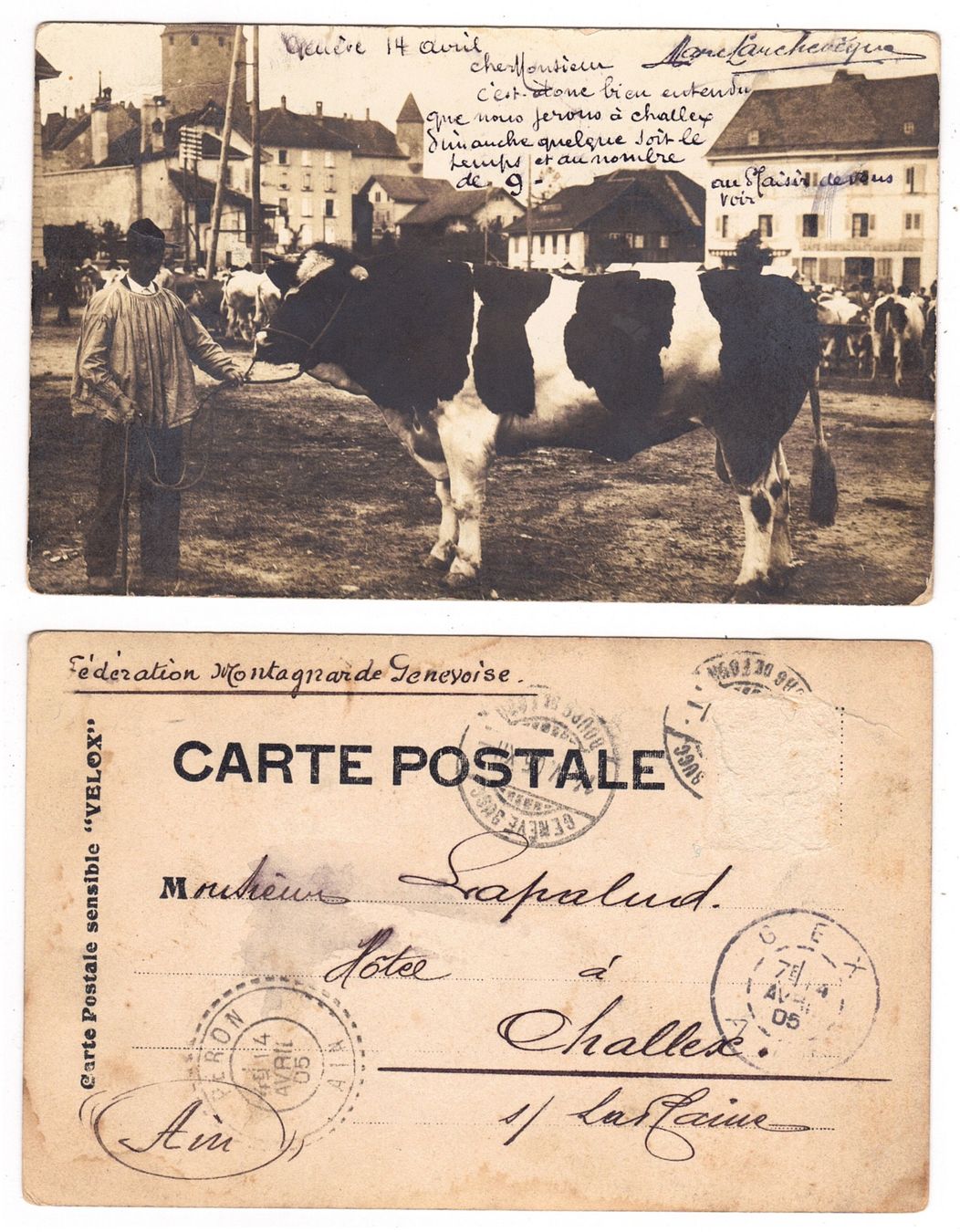 Ansichtskarten: Bulle, le marché, carte-photo – Gebraucht aus La Tour-de-Peilz von amjust