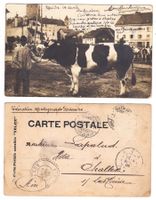 Bulle, le marché, carte-photo