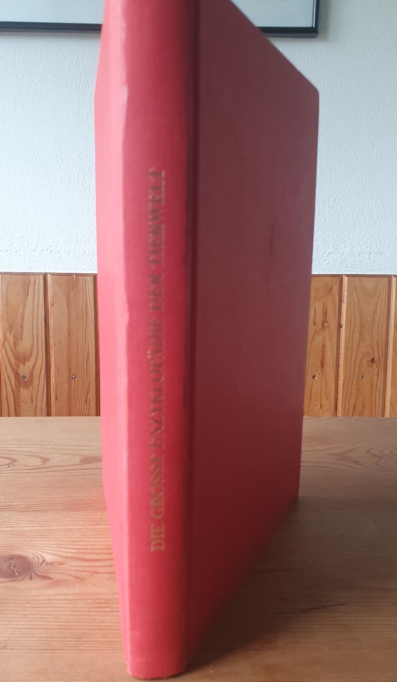 Libri: die grosse Enzyklopädie der Tierwelt – Usato da Zürich venduto da Vesco01 5