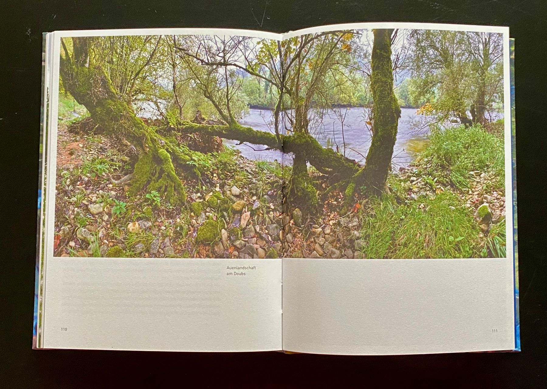 Livres: Wald & Wasser / 2017 – D'occasion à Nussbaumen AG par schuba2000 5