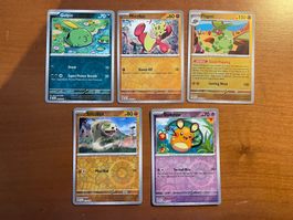 Pokemon Karten Set Reverse (Versand gratis)