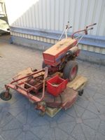 Kombimaschine / Mäher