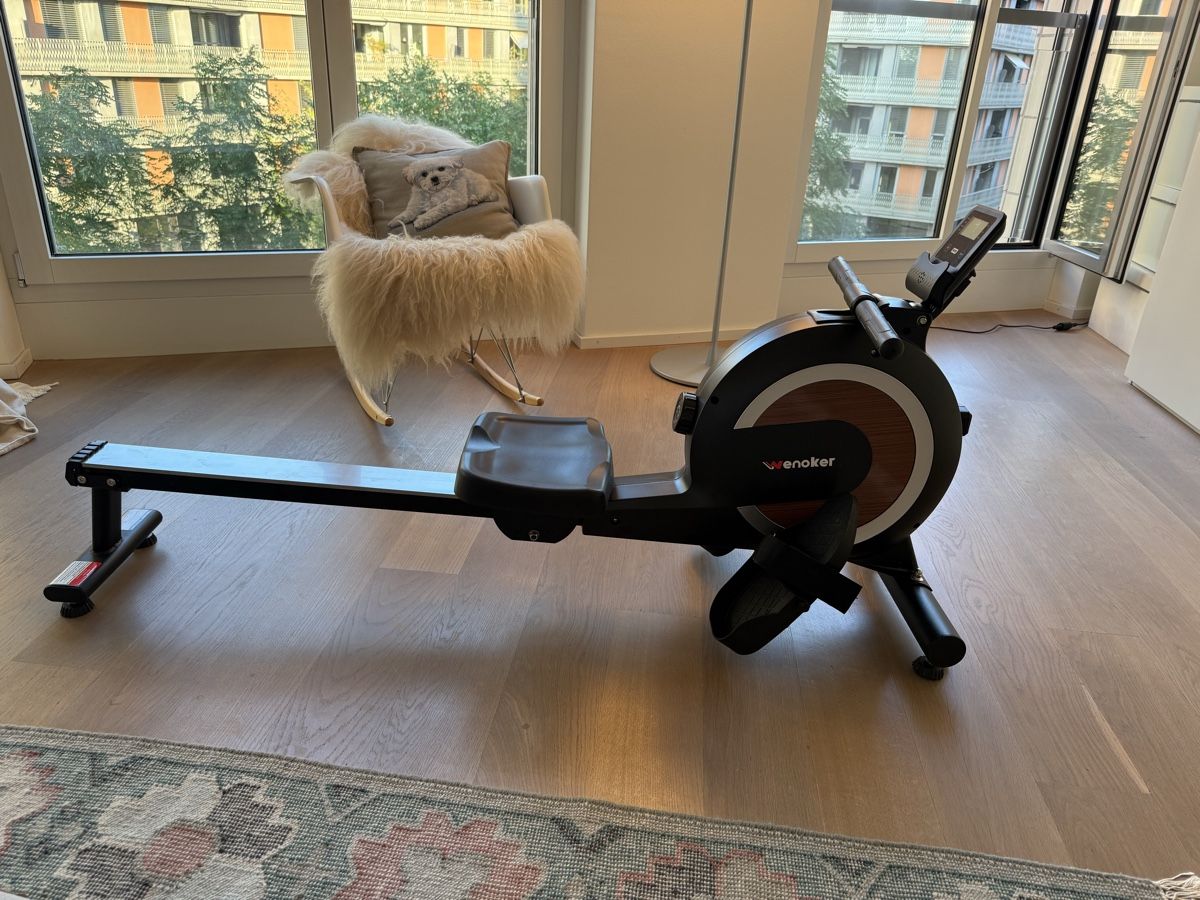 Hometrainer: Rudergerät – Gebraucht aus Zürich von pesawat