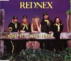 REDNEX (CD-Maxi) Wish you were here