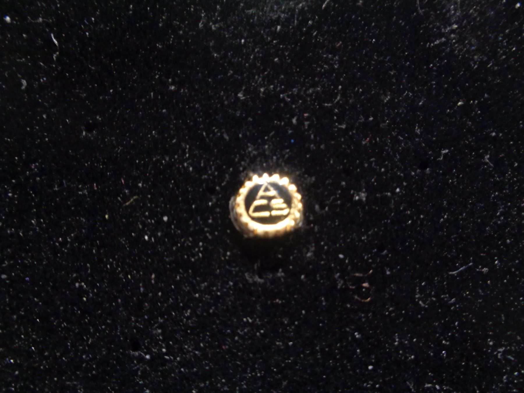 Placchette & Badge: Pin ACS – Usato da Birsfelden venduto da Albatros55