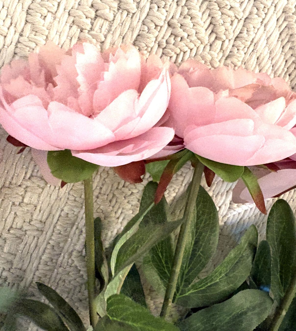 Alle Dekorationen: Rosen rosa 14 Stück – Neu (gemäss Beschreibung) aus Glattbrugg von Ariel012 6