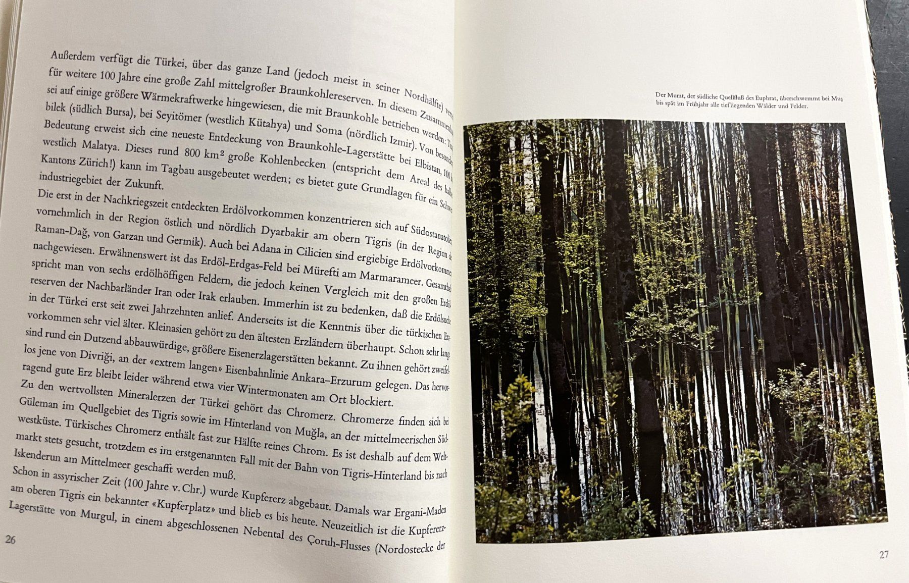 Libri: Silva Verlag, Türkei, 1968 – Usato da Oftringen venduto da Vucki 6