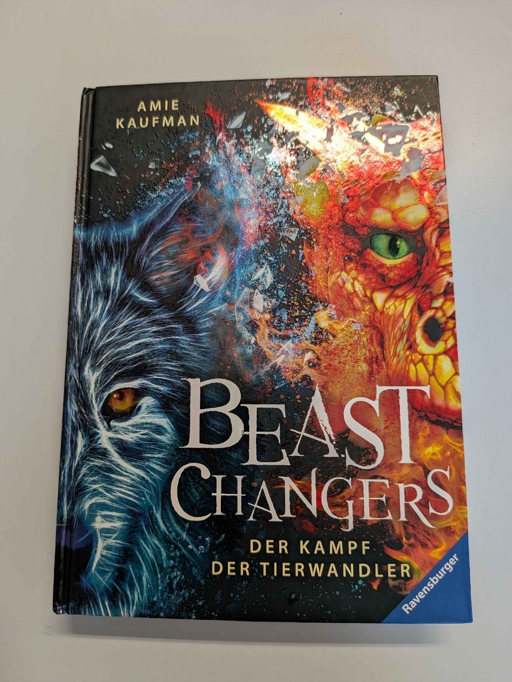 Libri: Buch Beast Changer – Usato da Lostorf venduto da einkaufen.sara