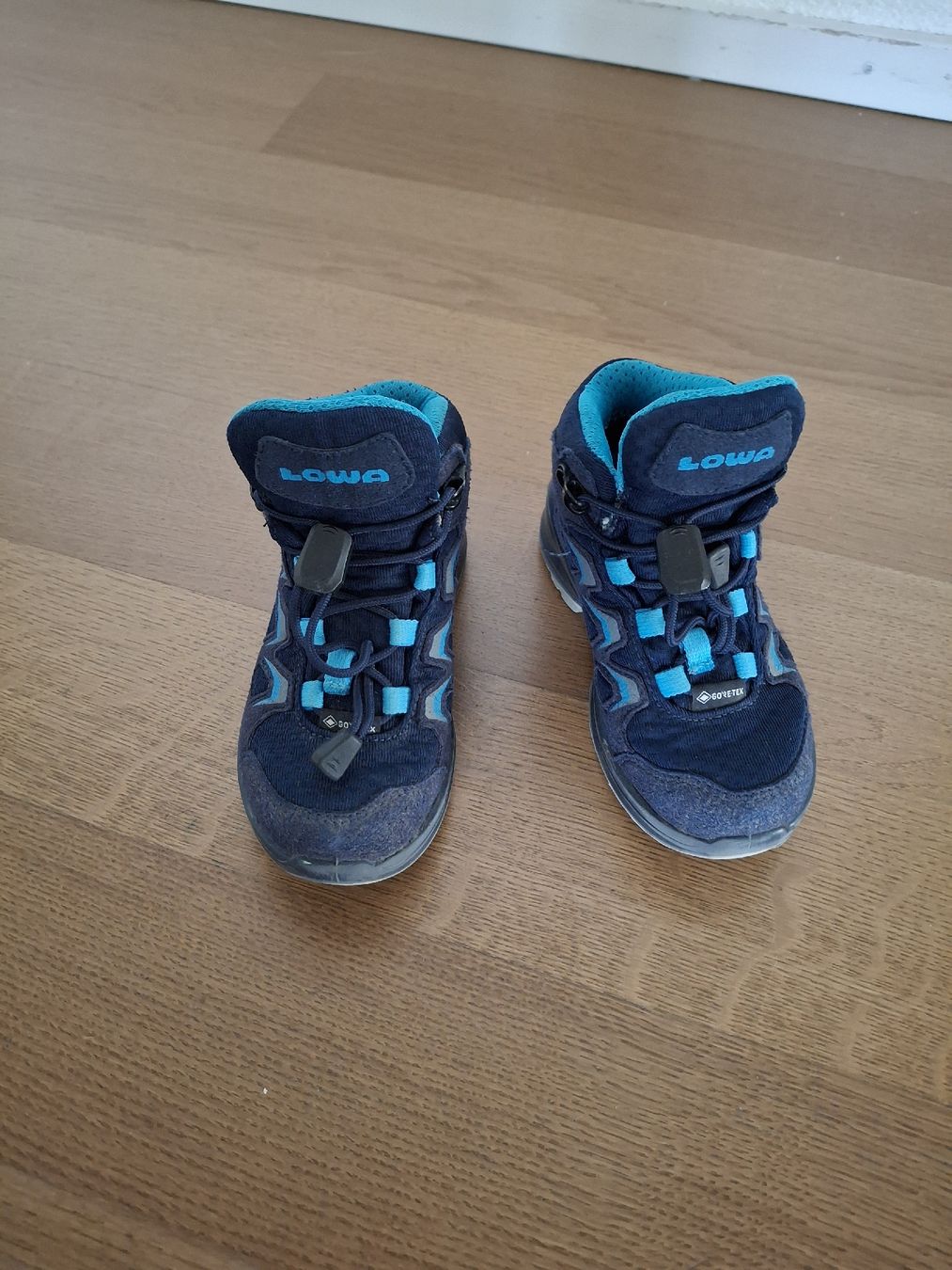 Lowa Scarpe per ragazzi: Lowa Gore-Tex wanderschuhe Grösse 25 – Usato da Oberentfelden venduto da lis_hau
