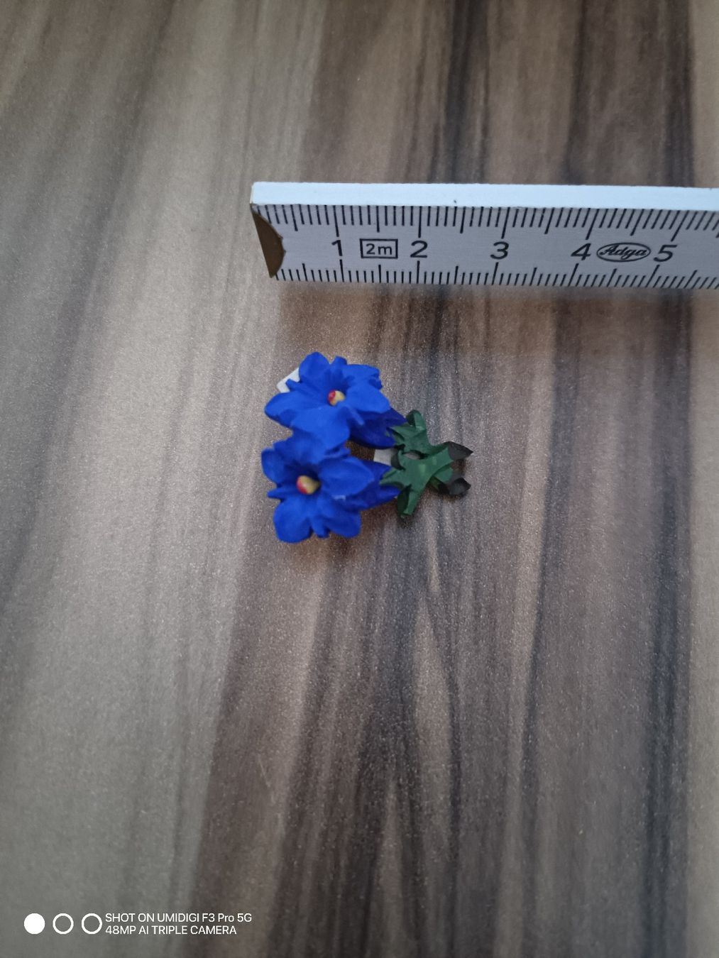 Spille & Fermagli: Anstecker Enzian – Nuovo e nell'imballaggio originale da Aarwangen venduto da to-hirschi 1