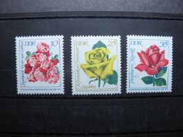 DDR 1972 Erfurt Rosenausstellung **