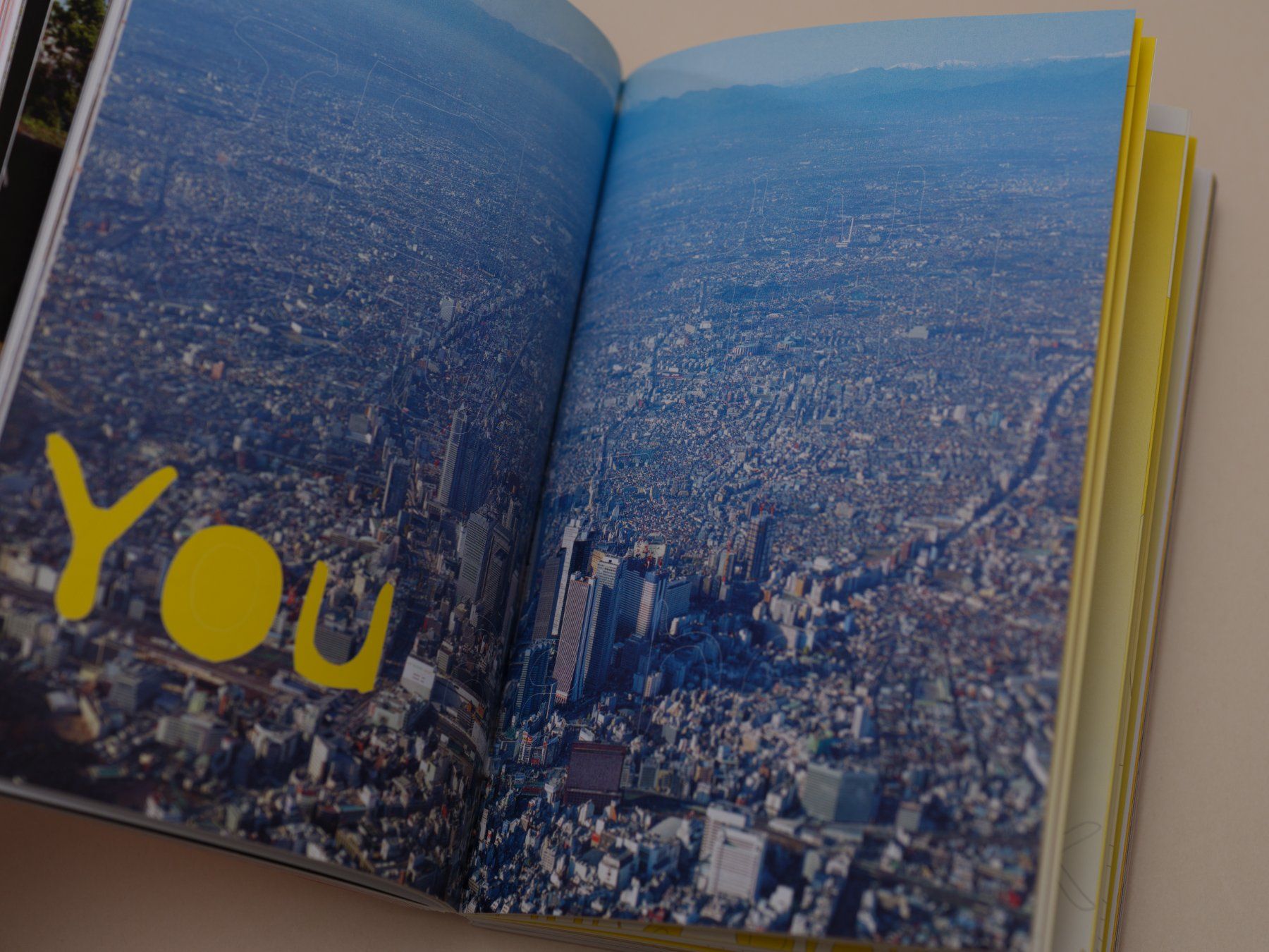 Libri: Mobility: A Room With a View – Usato da Zürich venduto da 000rk 2