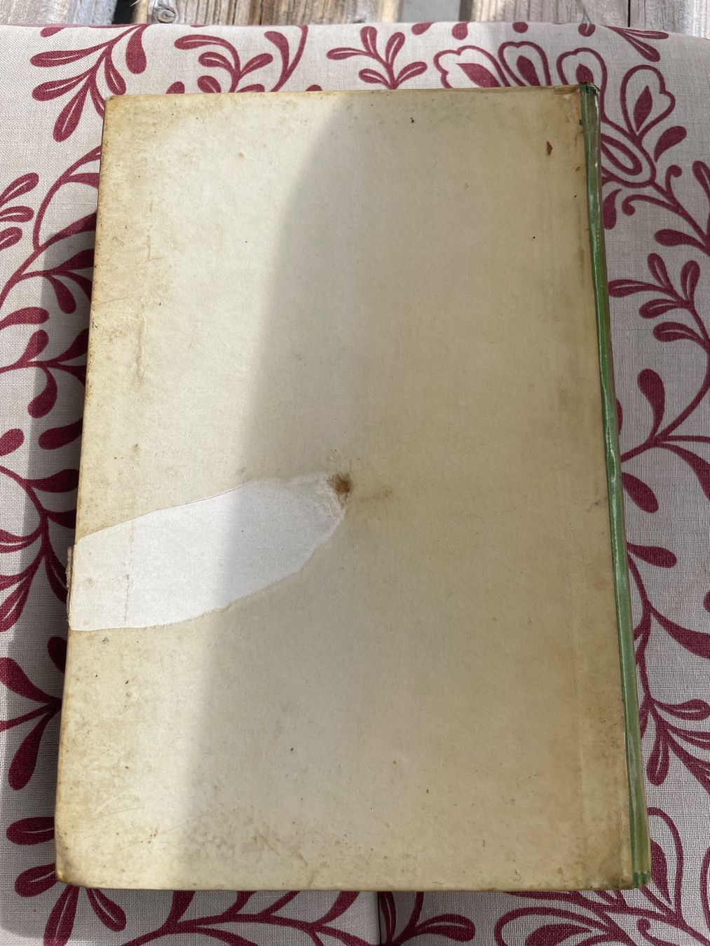 Libri: Ina Ritter: Wie ein Stiefkind – Usato da Sargans venduto da Didis 1